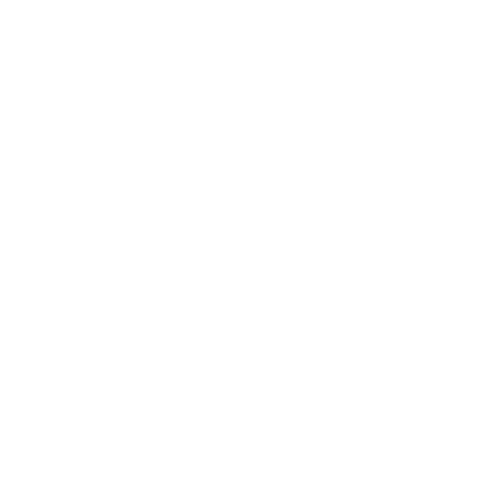 Ignity Logo